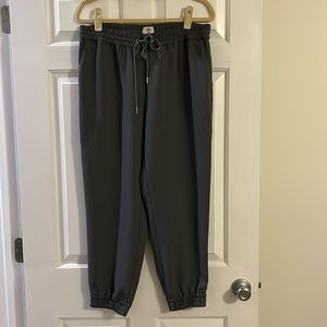 Aritzia Wilfred Pants